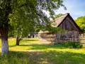 Drewniane chaty z krytymi strzechą dachami, otoczone zielenią i drzewami. Idealne miejsce na spokojny wypoczynek i poznanie dawnych kluki atrakcje.