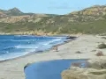 Piękna plaża na Korsyce, z turkusową wodą, piaszczystym wybrzeżem i skalistymi wzgórzami. Idealne miejsce, by zobaczyć dziką przyrodę.