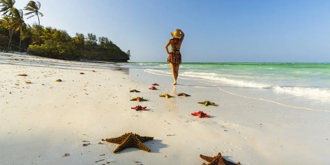 Kobieta w kapeluszu spaceruje po plaży, a ścieżka z rozgwiazd prowadzi do turkusowego morza. Rajskie all inclusive light.