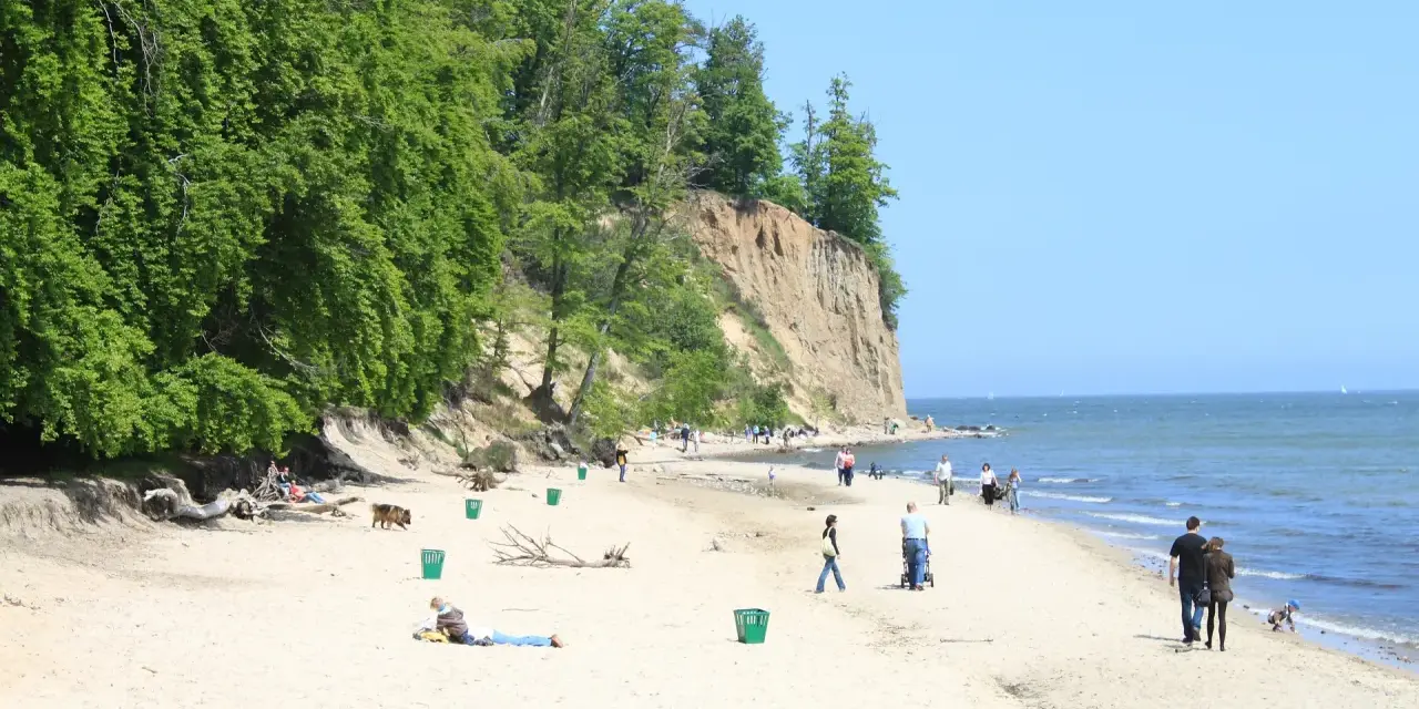 Klif Orłowski zachwyca swoją wysokością i zielenią. Ludzie spacerują po piaszczystej plaży u jego podnóża, ciesząc się słońcem i widokiem na morze.