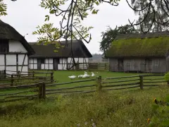 Stare chaty z krytymi strzechą dachami, gęsi pasące się na trawie. W tle drewniany płot i drzewa. Kluki cennik.