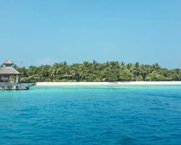 Turkusowa woda, biała plaża i palmy. Czy Malediwy to państwo? Tak, to archipelag wysp na Oceanie Indyjskim.