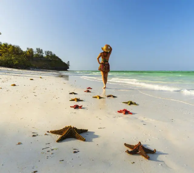 Kobieta w kapeluszu spaceruje po plaży, a ścieżka z rozgwiazd prowadzi do turkusowego morza. Rajskie all inclusive light.
