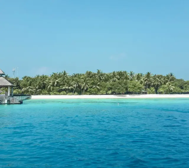 Turkusowa woda, biała plaża i palmy. Czy Malediwy to państwo? Tak, to archipelag wysp na Oceanie Indyjskim.