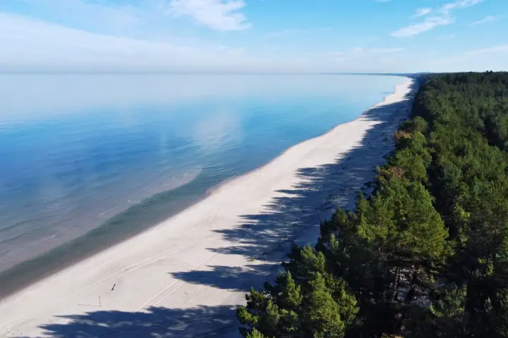 Spokojne morze i piaszczysta plaża na mierzei wiślanej, otoczone gęstym lasem sosnowym.