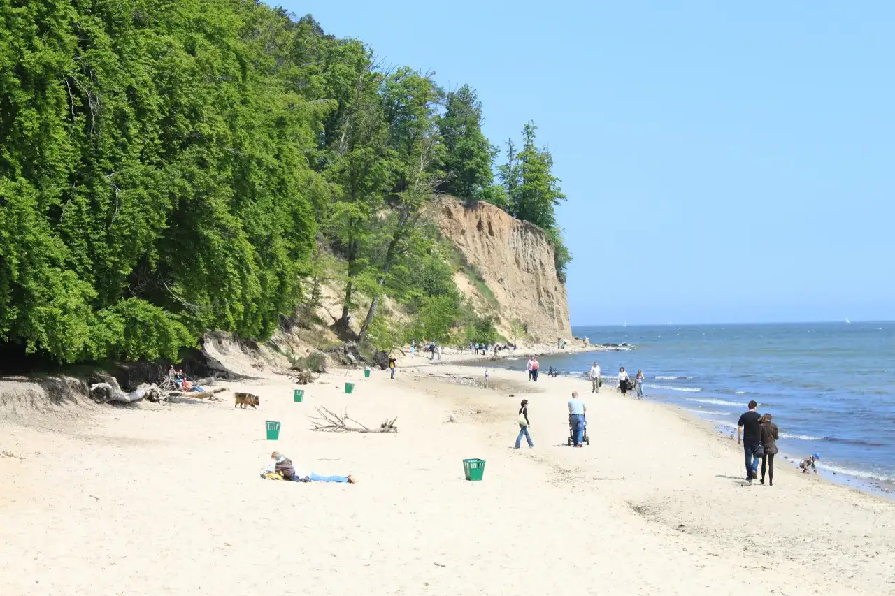 Klif Orłowski zachwyca swoją wysokością i zielenią. Ludzie spacerują po piaszczystej plaży u jego podnóża, ciesząc się słońcem i widokiem na morze.